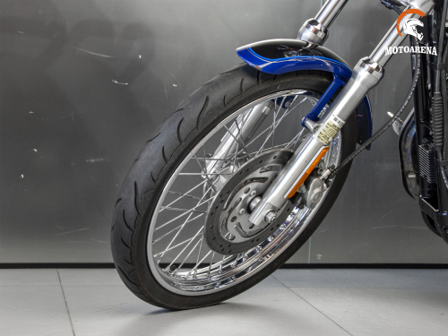 Harley-Davidson Sportster 1200C фото 19